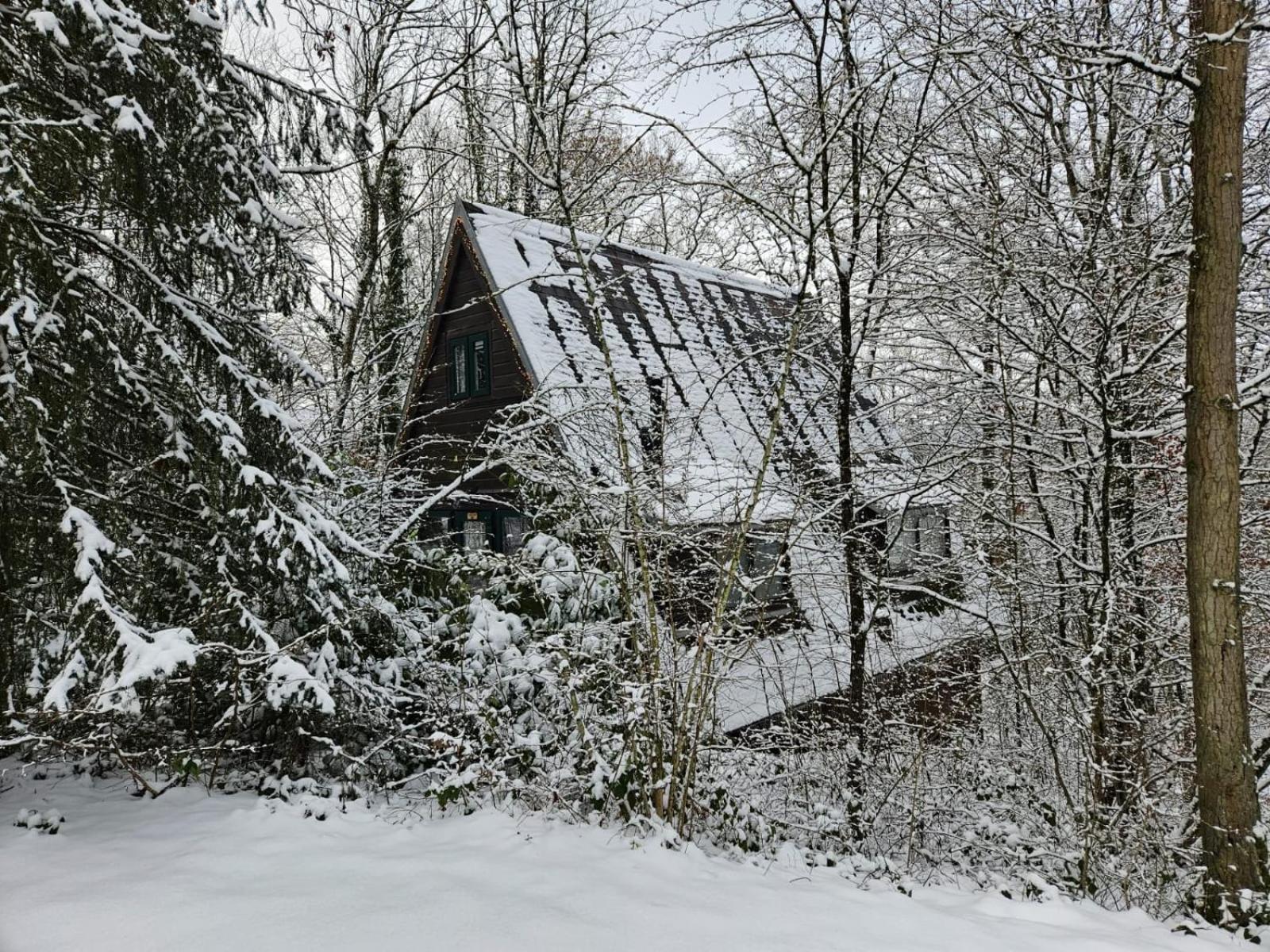Chalet 190 La Belle Durbuy Dış mekan fotoğraf