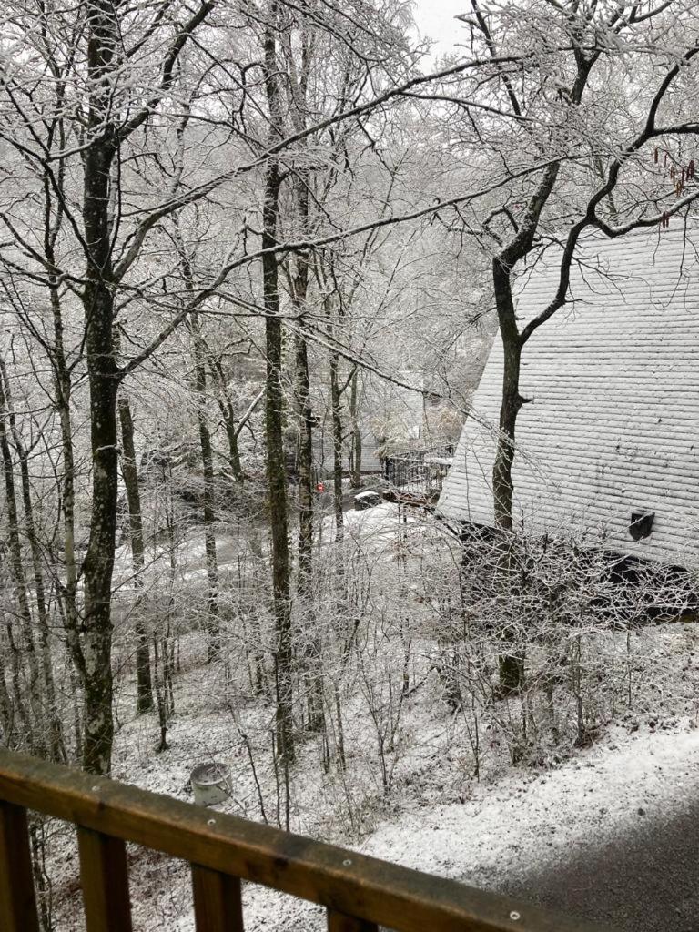 Chalet 190 La Belle Durbuy Dış mekan fotoğraf