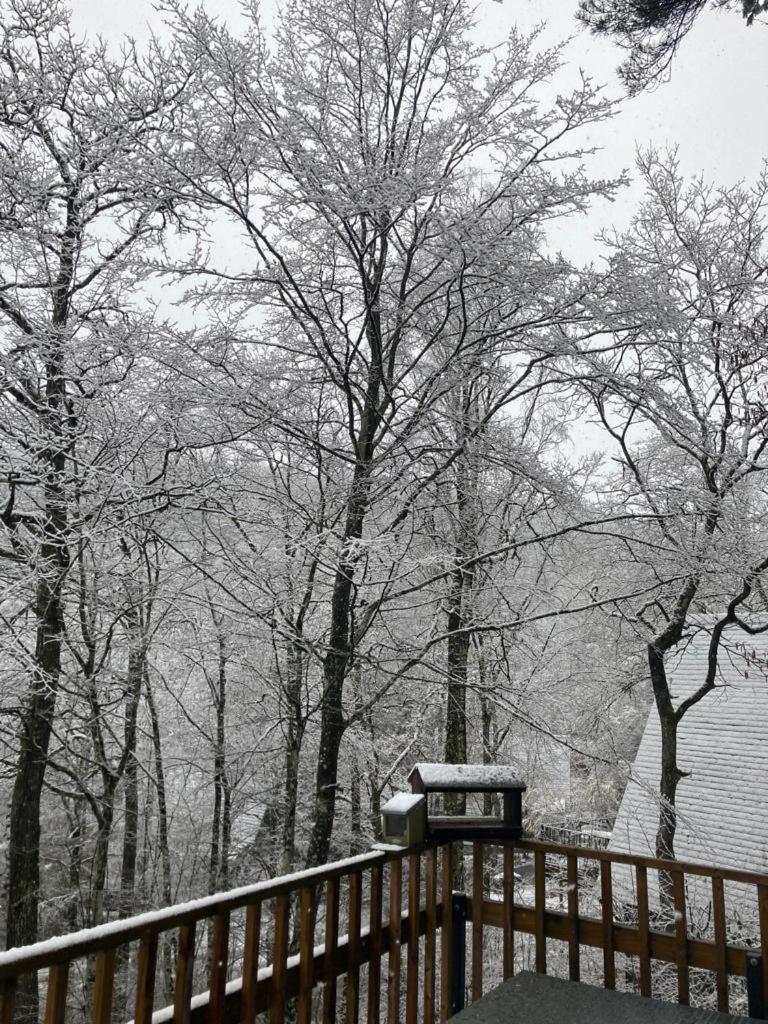 Chalet 190 La Belle Durbuy Dış mekan fotoğraf